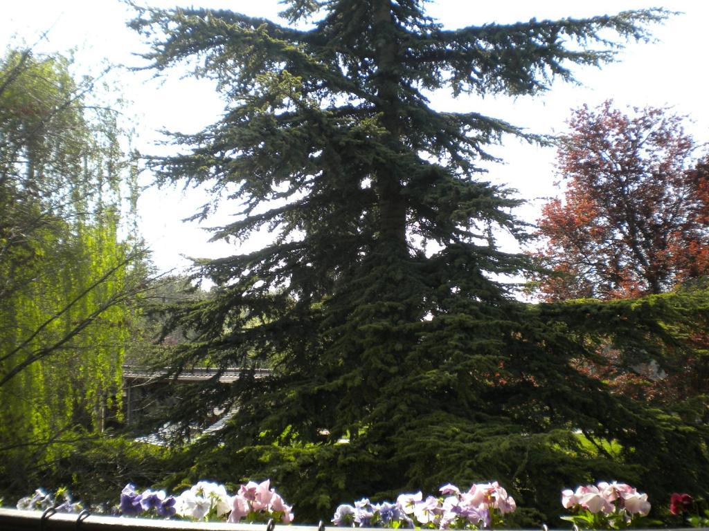 Aux Marguerites Villa Sainte-Genevieve-les-Gasny Cameră foto